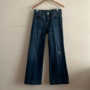 Ariat Trouser Jean 29 Short